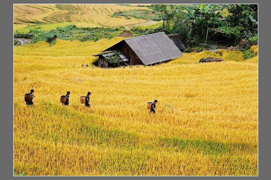 Hometravel Sapa Exteriör bild