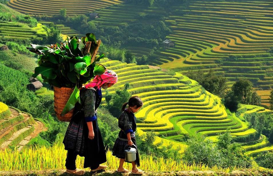 Hometravel Sapa Exteriör bild