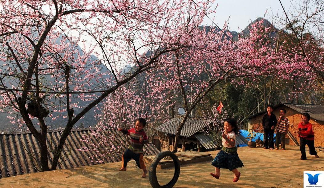 Hometravel Sapa Exteriör bild